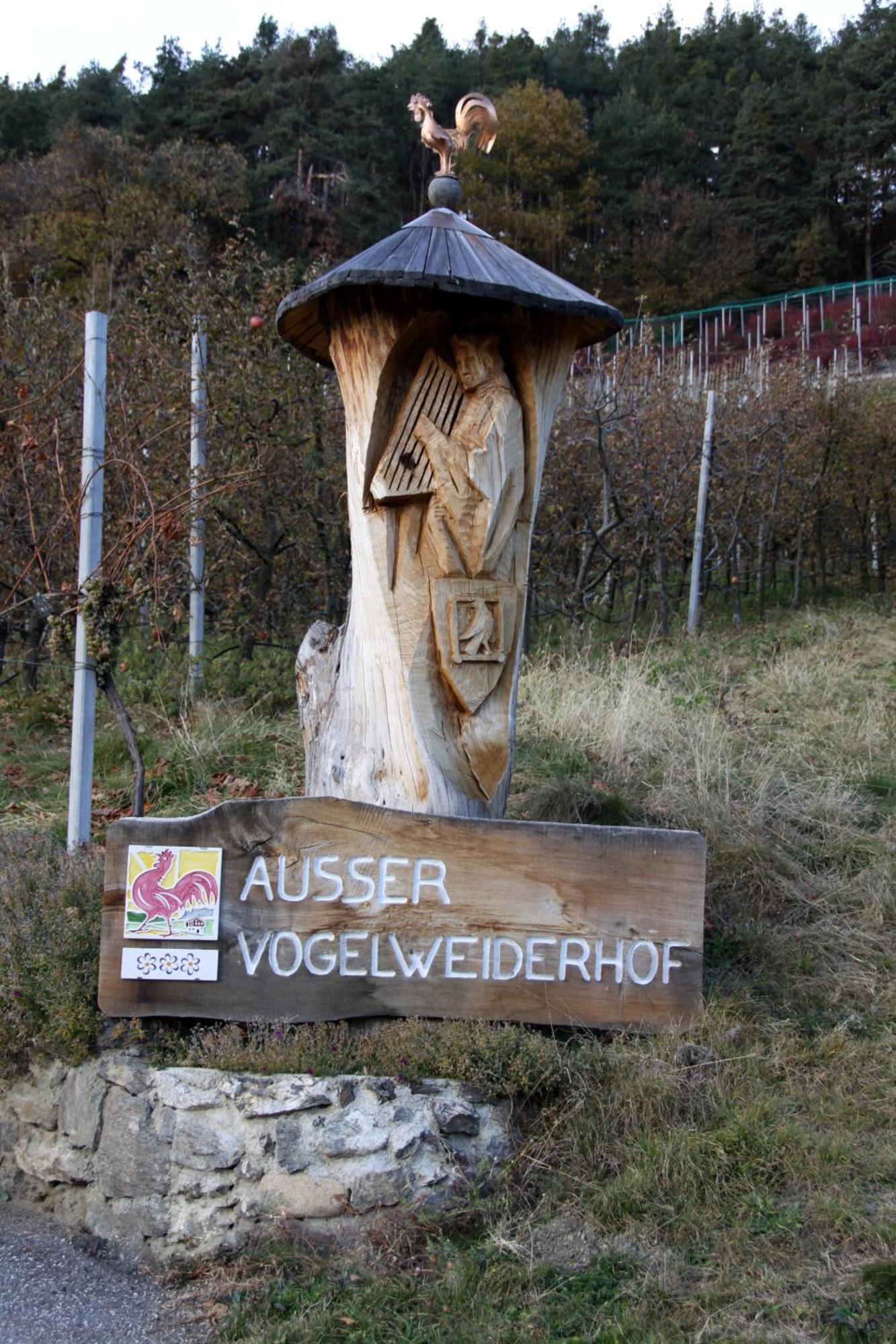 Ausservogelweiderhof Laion Exteriér fotografie