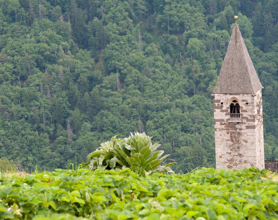 Ausservogelweiderhof Laion Exteriér fotografie